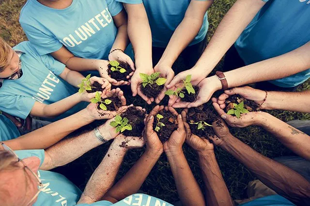 Mãos de várias pessoas segurando mudas de plantas em solo, todas vestindo camisetas azuis com a palavra 'VOLUNTÁRIO'.